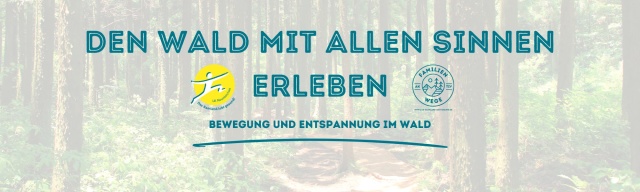 Entspannung im Wald mit der ganzen Familie